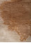 entropy red and orange wool and bamboo silk Hand Knotted Rug - CloseUp entropy red and orange wool and bamboo silk Hand Knotted Rug - CloseUp