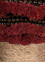 objects beige and brown wool ART WORK Rug - CloseUp objects beige and brown wool ART WORK Rug - CloseUp