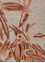 aurelia ivory wool and viscose Hand Tufted Rug - CloseUp aurelia ivory wool and viscose Hand Tufted Rug - CloseUp