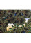 bridge bharat vibrant natural pigment colors on handmade sheet Art Work Rug - CloseUp bridge bharat vibrant natural pigment colors on handmade sheet Art Work Rug - CloseUp