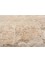 far east ivory wool and silk Hand Knotted Rug - CloseUp far east ivory wool and silk Hand Knotted Rug - CloseUp