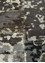 provenance grey and black wool Hand Knotted Rug - CloseUp provenance grey and black wool Hand Knotted Rug - CloseUp