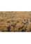free verse by kavi blue wool and silk Hand Knotted Rug - CloseUp free verse by kavi blue wool and silk Hand Knotted Rug - CloseUp