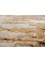 project error by kavi gold wool and bamboo silk Hand Knotted Rug - CloseUp project error by kavi gold wool and bamboo silk Hand Knotted Rug - CloseUp