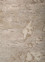project error by kavi beige and brown wool and bamboo silk Hand Knotted Rug - CloseUp project error by kavi beige and brown wool and bamboo silk Hand Knotted Rug - CloseUp