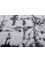 project error by kavi ivory wool and bamboo silk Hand Knotted Rug - CloseUp project error by kavi ivory wool and bamboo silk Hand Knotted Rug - CloseUp