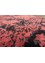 project error by kavi red and orange wool and bamboo silk Hand Knotted Rug - CloseUp project error by kavi red and orange wool and bamboo silk Hand Knotted Rug - CloseUp