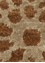 tattvam beige and brown wool and bamboo silk Hand Knotted Rug - CloseUp tattvam beige and brown wool and bamboo silk Hand Knotted Rug - CloseUp