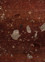 hidden by kavi red and orange wool and bamboo silk Hand Knotted Rug - CloseUp hidden by kavi red and orange wool and bamboo silk Hand Knotted Rug - CloseUp
