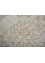 erbe ivory wool Hand Knotted Rug - CloseUp erbe ivory wool Hand Knotted Rug - CloseUp