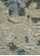 uvenuti grey and black wool and bamboo silk Hand Knotted Rug - CloseUp uvenuti grey and black wool and bamboo silk Hand Knotted Rug - CloseUp