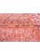provenance red and orange wool Hand Knotted Rug - CloseUp provenance red and orange wool Hand Knotted Rug - CloseUp