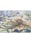 aalam blue wool Hand Knotted Rug - CloseUp aalam blue wool Hand Knotted Rug - CloseUp