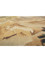 wall art beige and brown wool Flat weaves Rug - CloseUp wall art beige and brown wool Flat weaves Rug - CloseUp