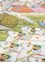 pichwai ivory cotton cloth ART WORK Rug - CloseUp pichwai ivory cotton cloth ART WORK Rug - CloseUp