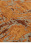 pansy red and orange wool Hand Knotted Rug - CloseUp pansy red and orange wool Hand Knotted Rug - CloseUp