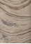 genesis ivory wool and viscose Hand Tufted Rug - CloseUp genesis ivory wool and viscose Hand Tufted Rug - CloseUp