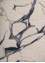 genesis ivory wool and viscose Hand Tufted Rug - CloseUp genesis ivory wool and viscose Hand Tufted Rug - CloseUp