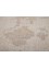 viscaya ivory wool Hand Knotted Rug - CloseUp viscaya ivory wool Hand Knotted Rug - CloseUp