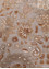 bodhi ivory wool and viscose Hand Tufted Rug - CloseUp bodhi ivory wool and viscose Hand Tufted Rug - CloseUp