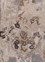 mythos ivory wool and viscose Hand Tufted Rug - CloseUp mythos ivory wool and viscose Hand Tufted Rug - CloseUp
