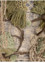 wall installation green wool and silk Wall Art Rug - CloseUp wall installation green wool and silk Wall Art Rug - CloseUp