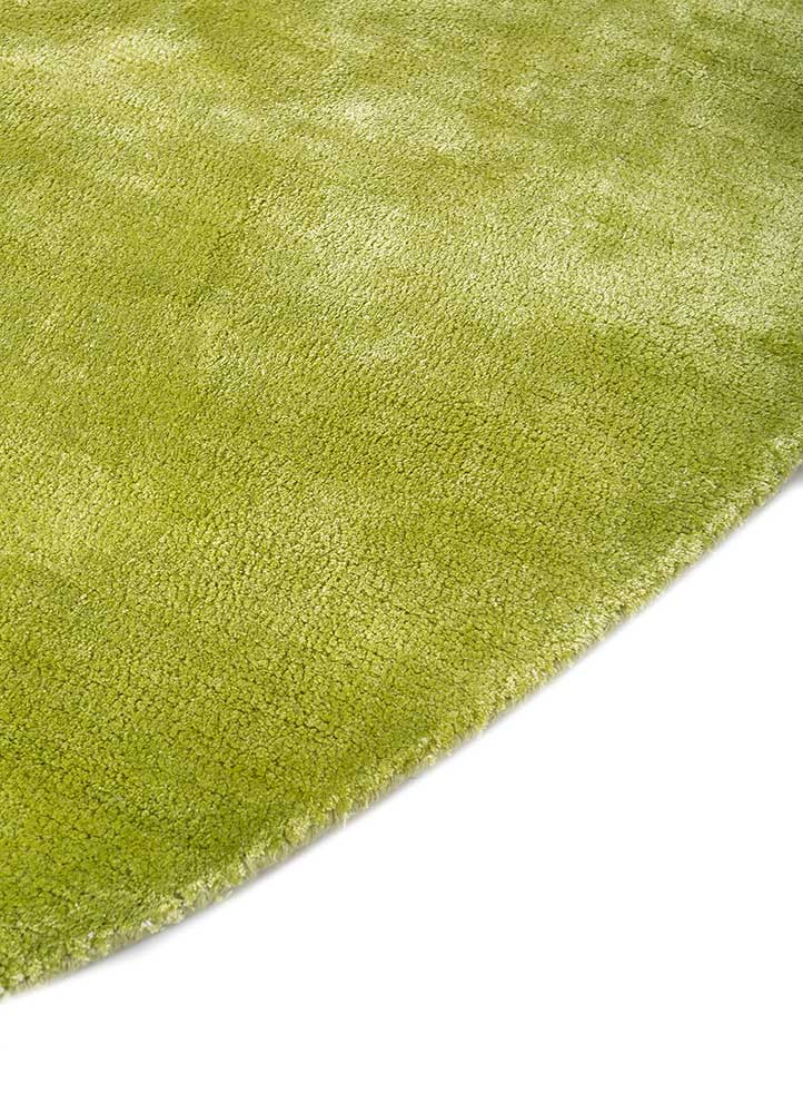 come around green viscose Hand Tufted Rug - Corner