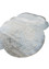 azalea blue bamboo silk and zari Hand Knotted Rug - FloorShot azalea blue bamboo silk and zari Hand Knotted Rug - FloorShot