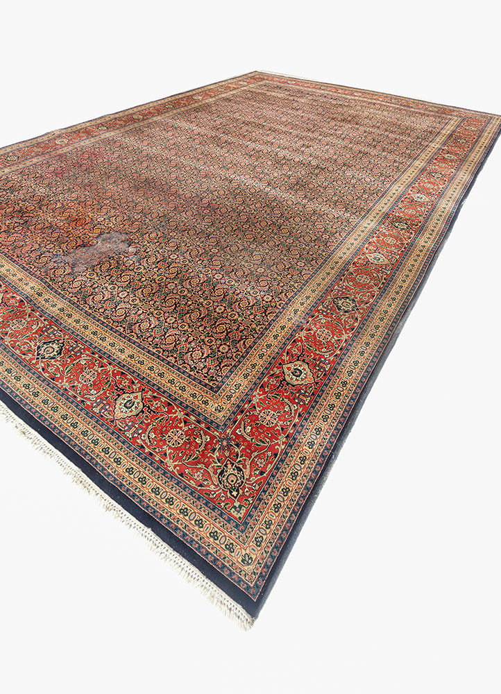 aalam red and orange wool Hand Knotted Rug - FloorShot aalam red and orange wool Hand Knotted Rug - FloorShot