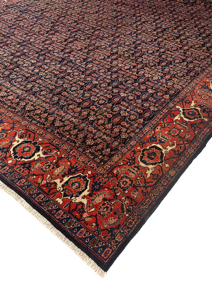 aalam blue wool Hand Knotted Rug - FloorShot