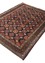 aalam blue wool Hand Knotted Rug - FloorShot aalam blue wool Hand Knotted Rug - FloorShot
