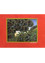 bridge bharat vibrant natural pigment colors on handmade sheet Art Work Rug - HeadShot bridge bharat vibrant natural pigment colors on handmade sheet Art Work Rug - HeadShot