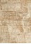 uvenuti ivory wool Hand Knotted Rug - HeadShot uvenuti ivory wool Hand Knotted Rug - HeadShot
