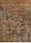 erbe beige and brown wool Hand Knotted Rug - HeadShot erbe beige and brown wool Hand Knotted Rug - HeadShot