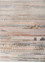 manchaha ivory wool and bamboo silk Hand Knotted Rug - HeadShot manchaha ivory wool and bamboo silk Hand Knotted Rug - HeadShot