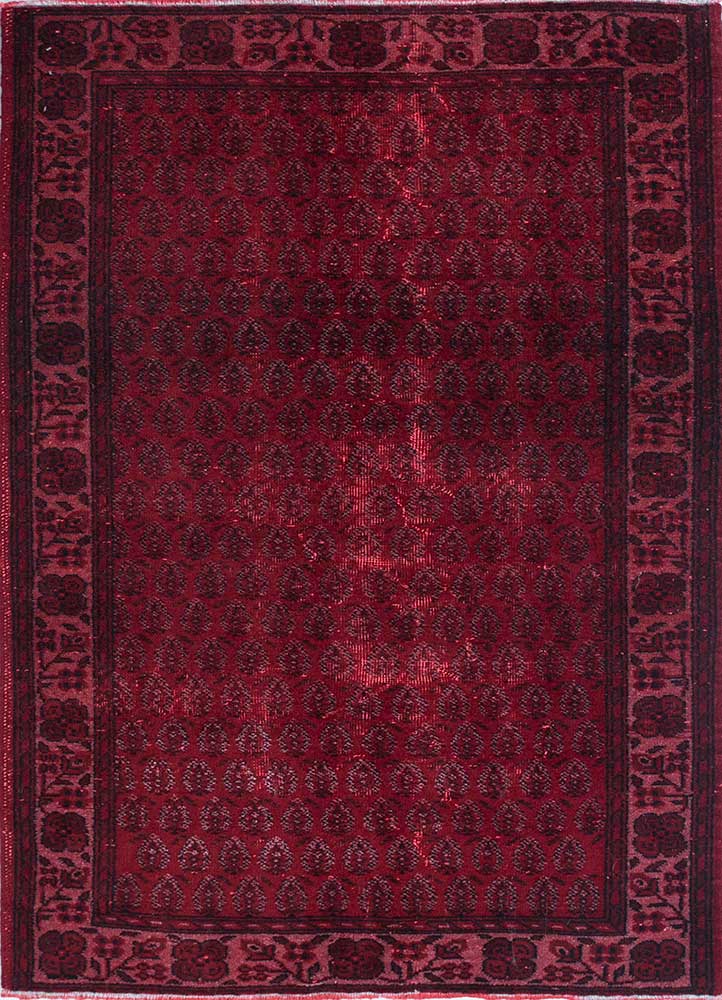 lacuna red and orange wool Hand Knotted Rug - HeadShot