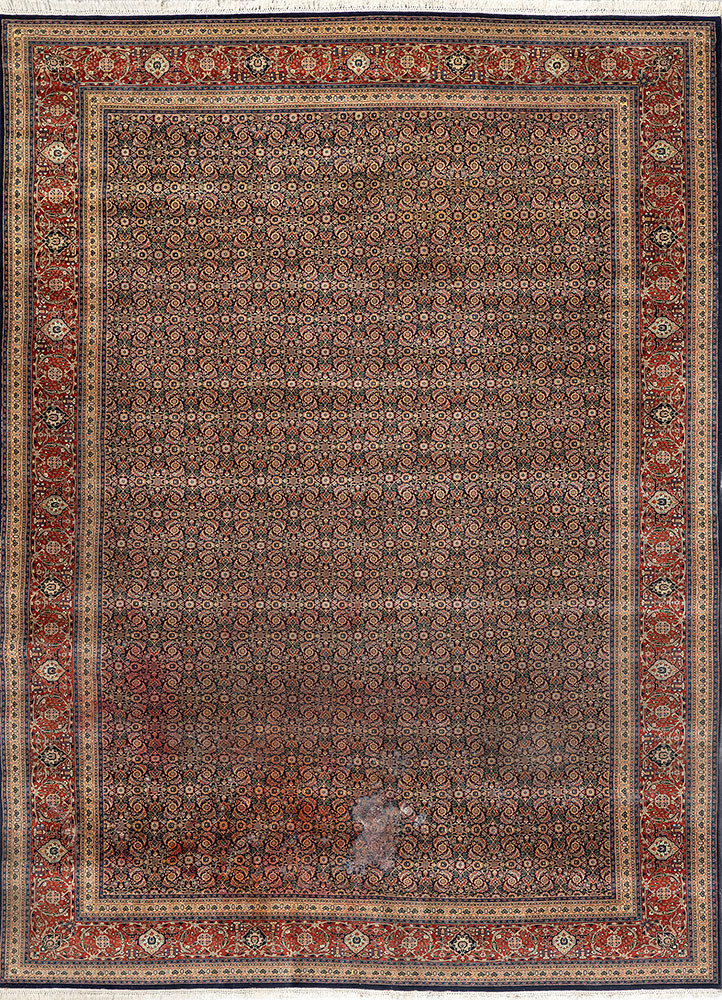 aalam red and orange wool Hand Knotted Rug - HeadShot aalam red and orange wool Hand Knotted Rug - HeadShot