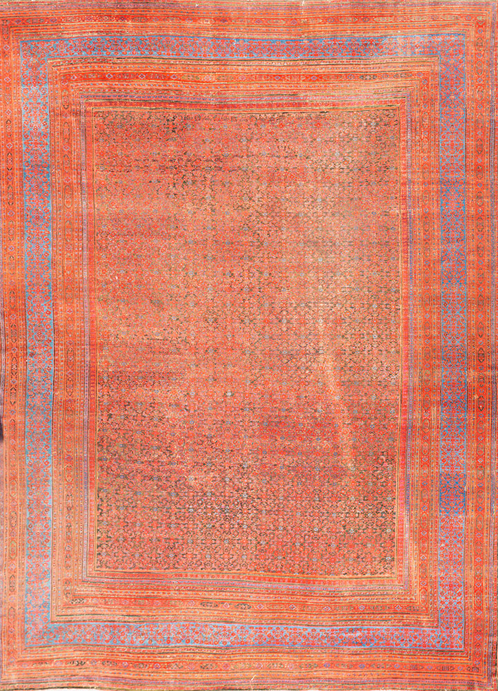 aalam red and orange wool Hand Knotted Rug - HeadShot aalam red and orange wool Hand Knotted Rug - HeadShot