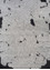 white noise ivory wool and viscose Hand Tufted Rug - HeadShot white noise ivory wool and viscose Hand Tufted Rug - HeadShot