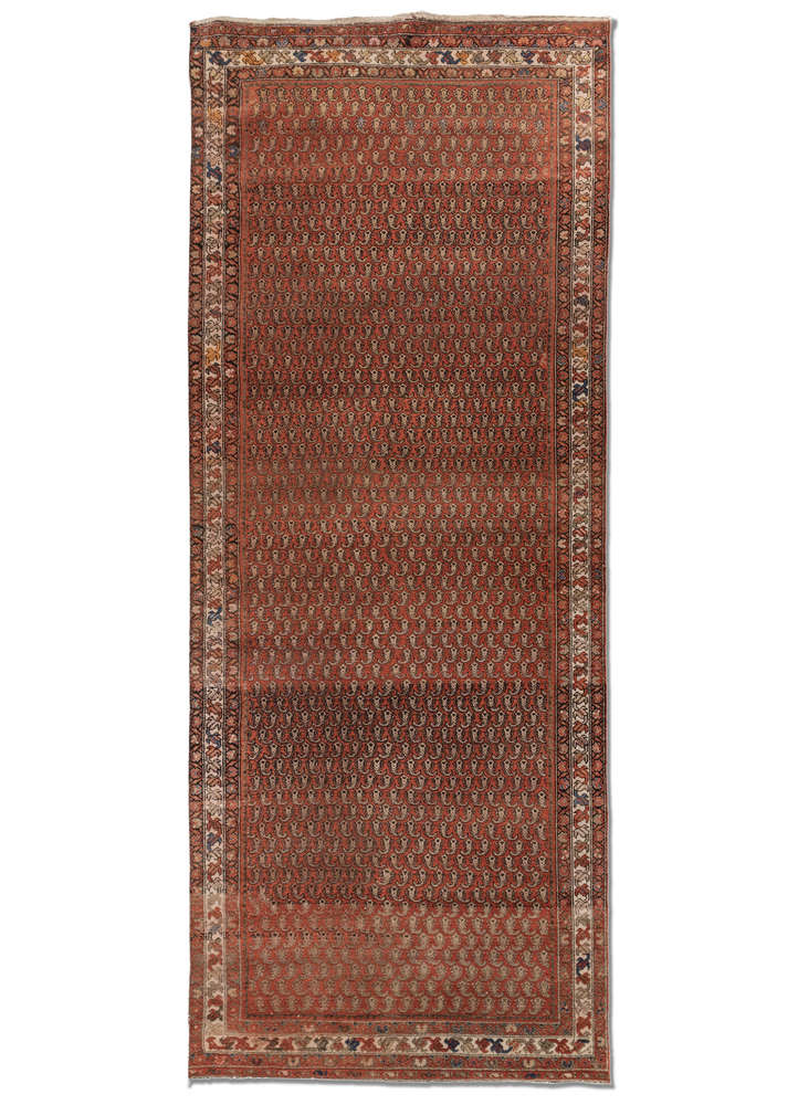  gold wool Hand Knotted Rug