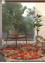 hacienda red and orange wool Hand Tufted Rug - OtherShot2 hacienda red and orange wool Hand Tufted Rug - OtherShot2
